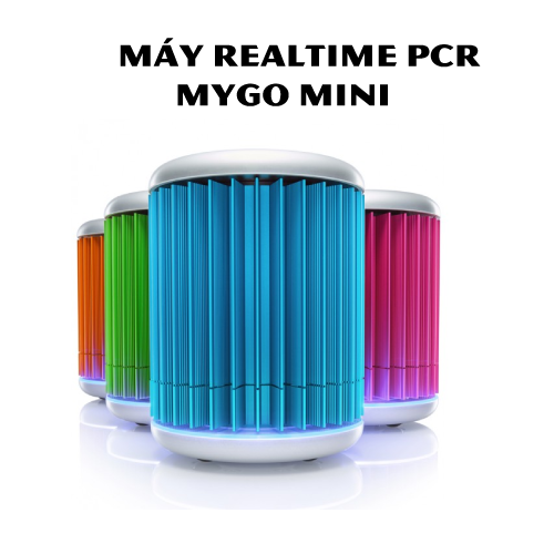 may-realtime-prc-mygo-mini-color.png