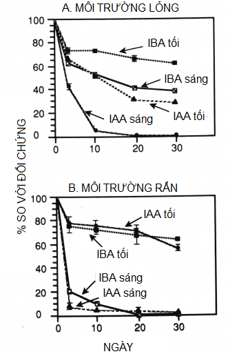 hinh-2-anh-huong-cua-iba-va-iaa.png