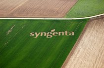 ChemChina thâu tóm Syngenta với giá 43 tỷ đô la