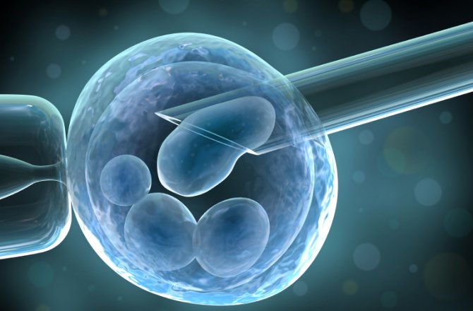 adult-stem-cell-cloning-670-1.jpg