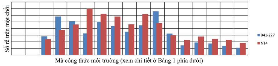 anh-huong-cua-naa-va-iba-len-tao-re.png