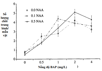 hinh-2-nuoi-cay-mo-man-cau-xiem.png