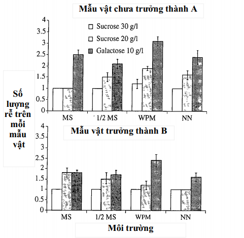 hinh-4-nuoi-cay-mo-man-cau-xiem.png