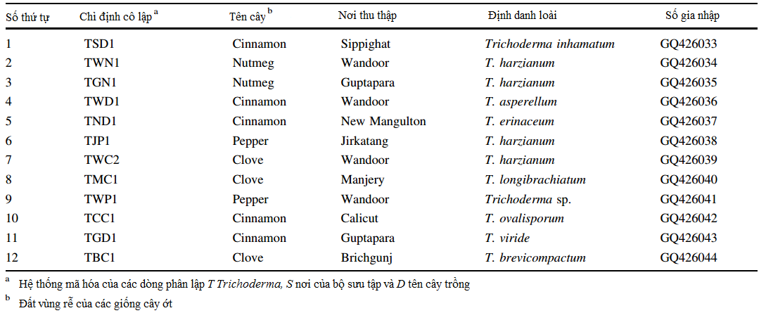 bang-1-Phan-lap-va-mo-ta-Trichoderma-spp-1.png