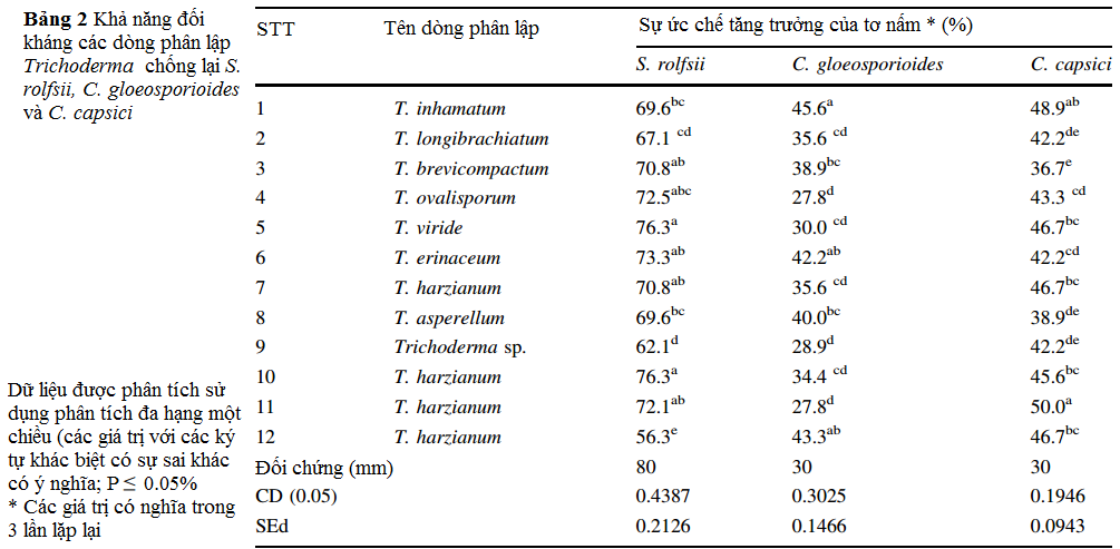 bang-2-Phan-lap-va-mo-ta-Trichoderma-spp.png