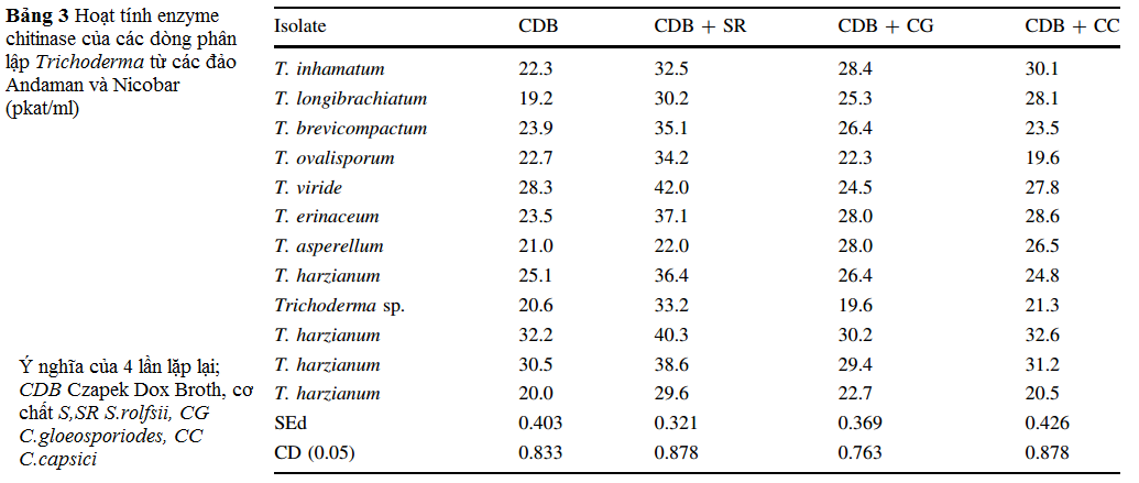 bang-3-Phan-lap-va-mo-ta-Trichoderma-spp.png