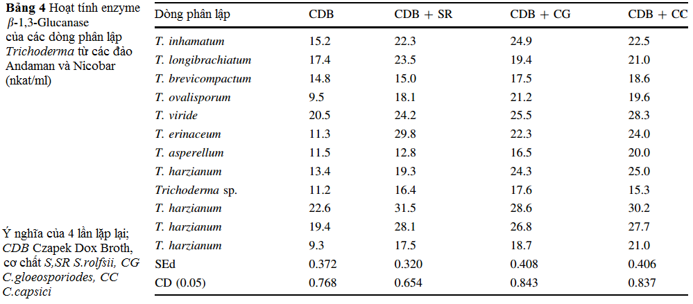 bang-4-Phan-lap-va-mo-ta-Trichoderma-spp.png