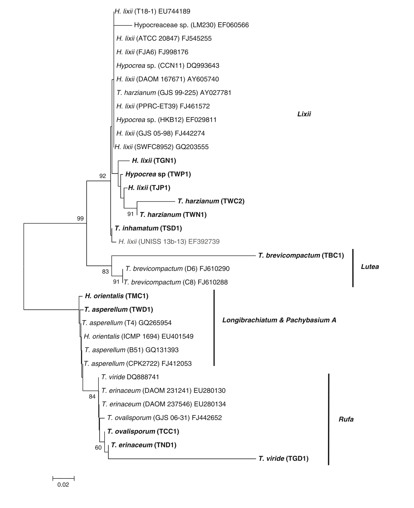 hinh-1-Phan-lap-va-mo-ta-Trichoderma-spp.png