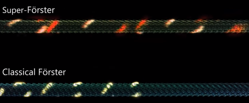 Excitons-pathway-comparision.PNG