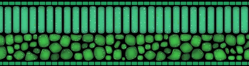 plant-cells-photosynthesis.PNG