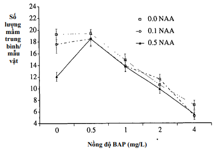 hinh-1-nuoi-cay-mo-man-cau-xiem.png