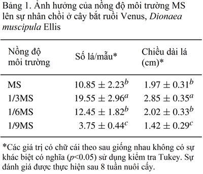 bang-1-nuoi-cay-mo-cay-bay-ruoi.png